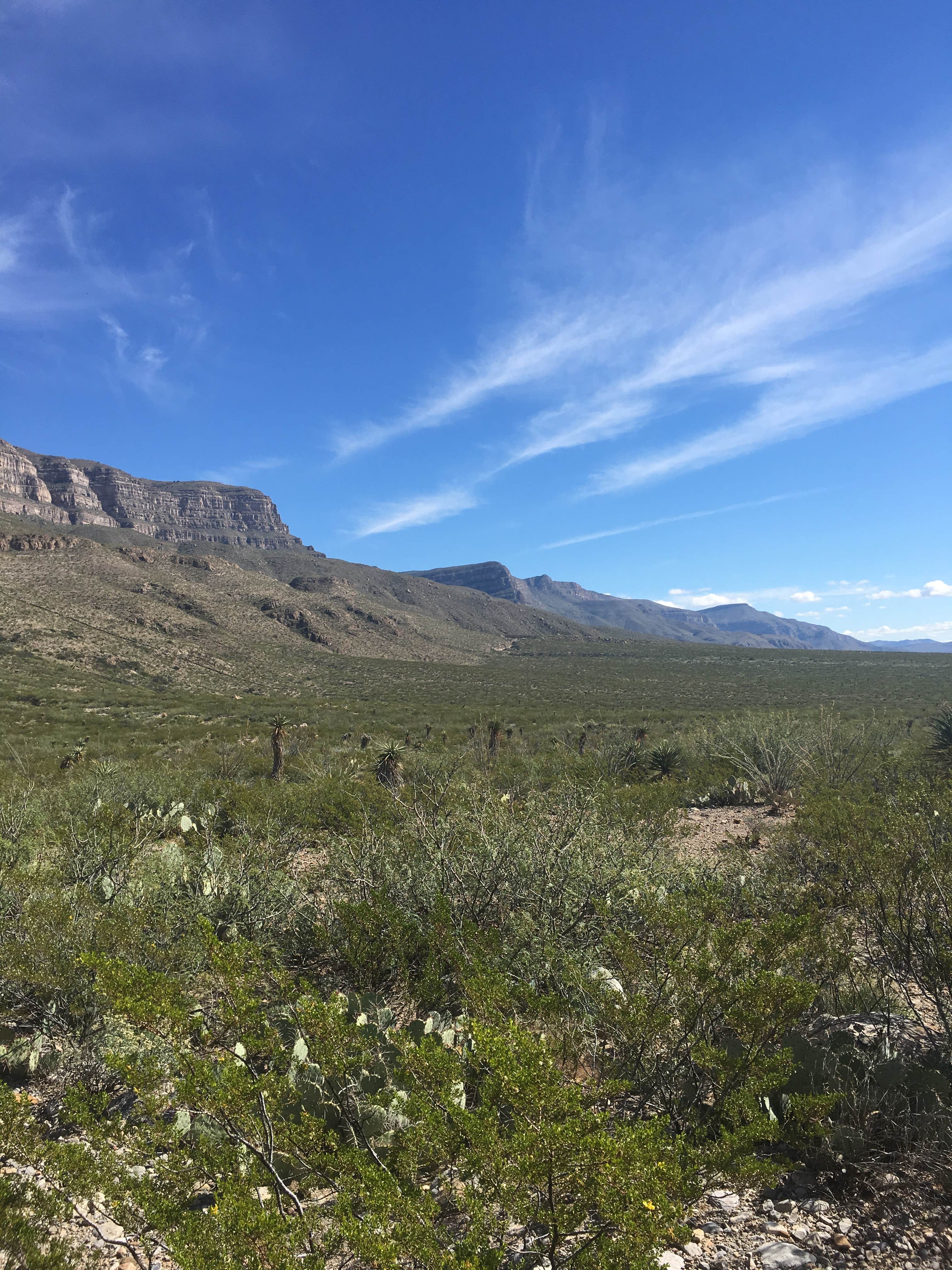 View All