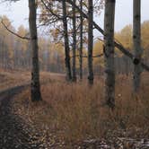Review photo of Smith-Morehouse Campground by Brendan A., September 1, 2016