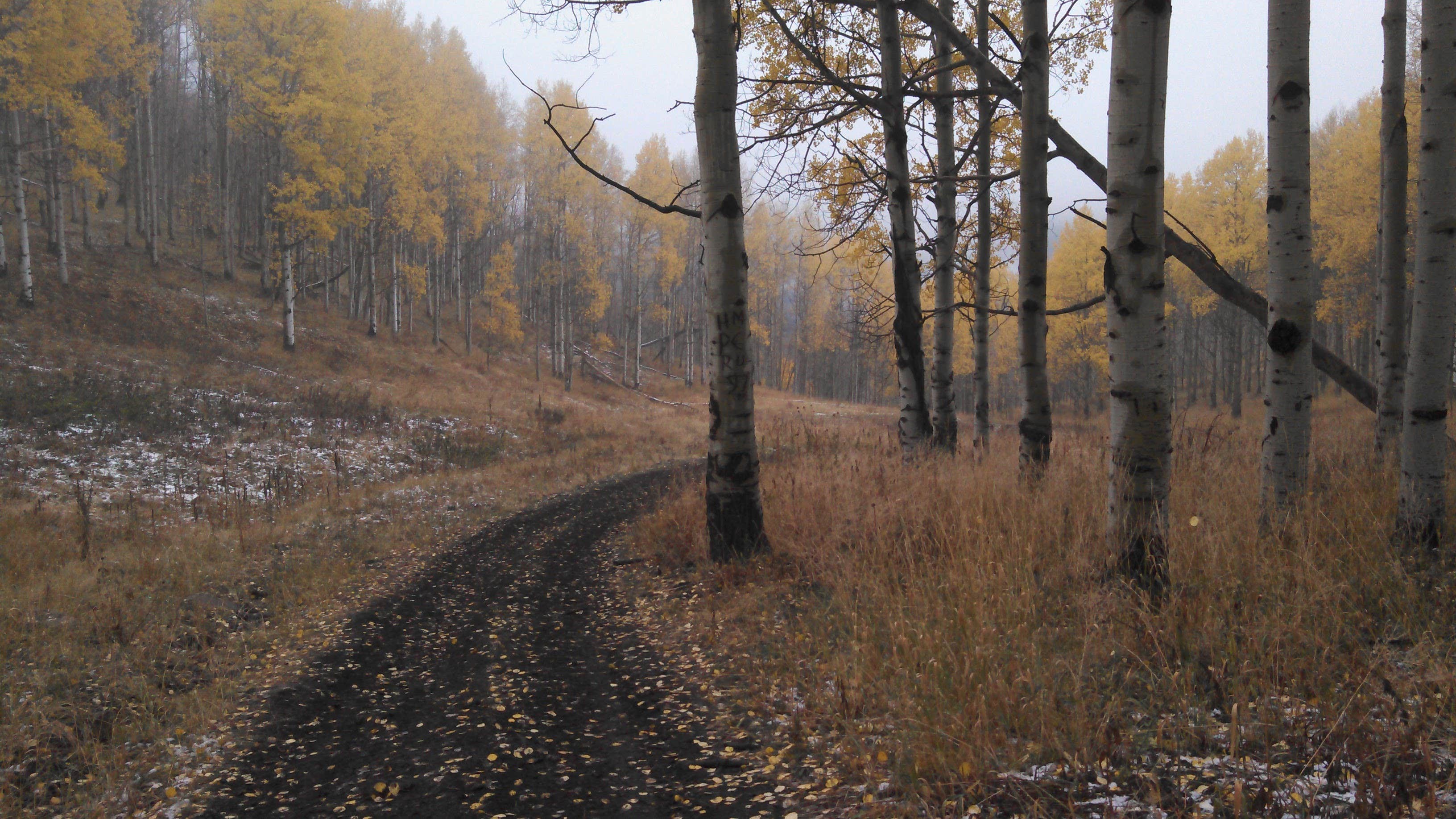 Camper submitted image from Smith-Morehouse Campground - 4