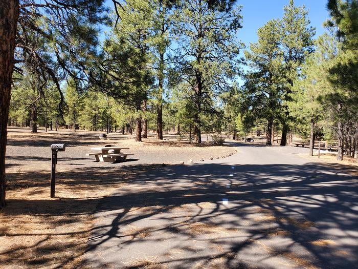 Camper submitted image from Bonito Campground — Sunset Crater National Monument - 2