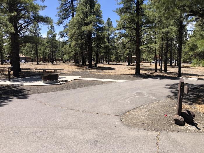 Camper submitted image from Bonito Campground — Sunset Crater National Monument - 1