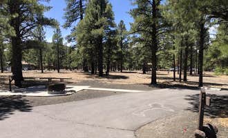 Camping near Grand Canyon Oasis : Bonito Campground — Sunset Crater National Monument, Flagstaff, Arizona
