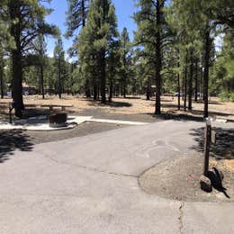 Public Campgrounds: Bonito Campground — Sunset Crater National Monument