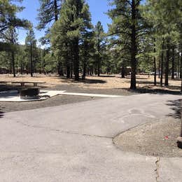 Public Campgrounds: Bonito Campground — Sunset Crater National Monument