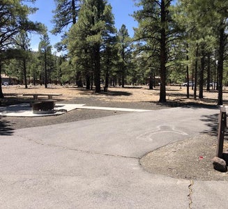 Camper-submitted photo from Bonito Campground — Sunset Crater National Monument