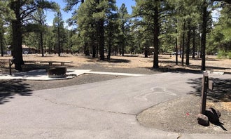 Camping near Lockett Meadow Campground: Bonito Campground — Sunset Crater National Monument, Flagstaff, Arizona
