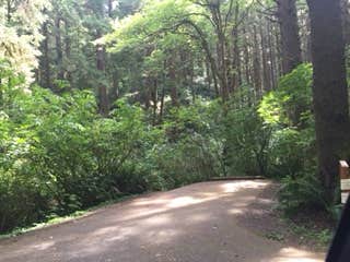 Camper-submitted photo at Rock Creek Lake Campground near Dyer, NV