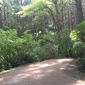 Review photo of Rock Creek Lake Campground by Kayko S., September 1, 2016