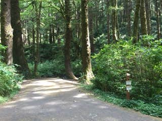 Camper submitted image from Rock Creek Lake Campground - 4