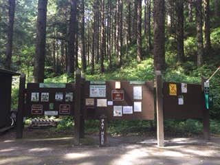 Camper-submitted photo at Rock Creek Lake Campground near Dyer, NV