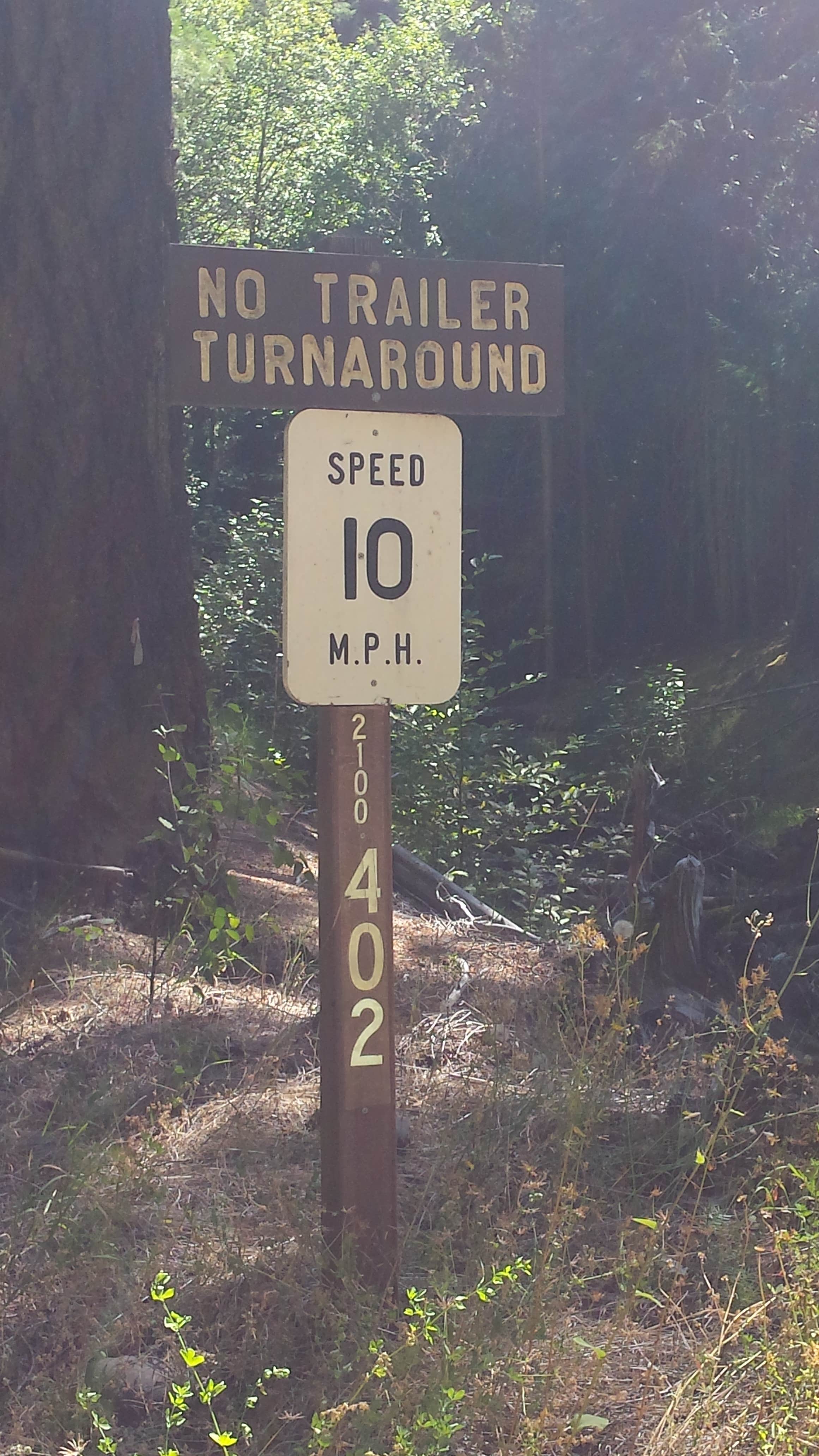 Camper submitted image from Indigo Springs — Willamette National Forest - 5