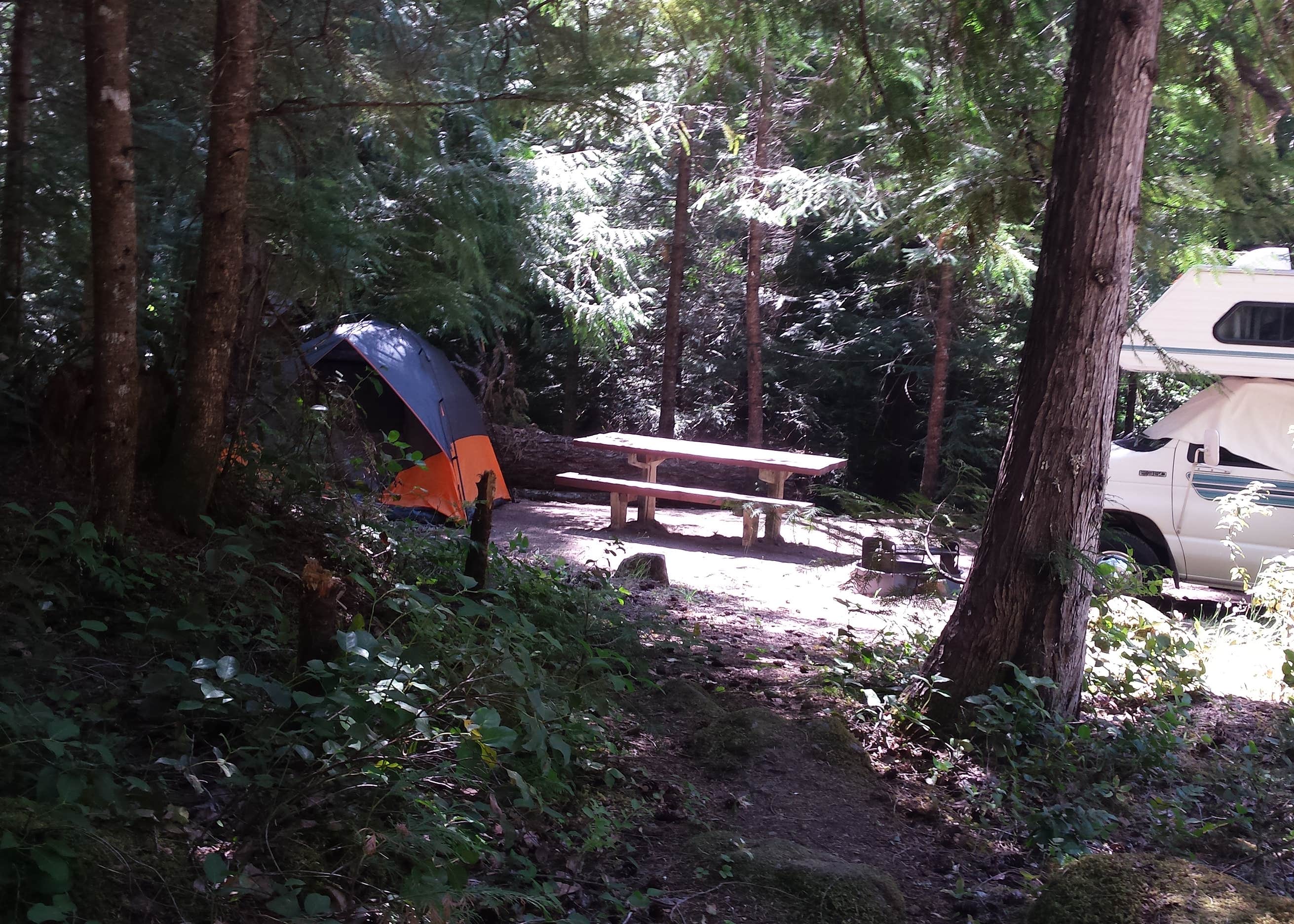 Indigo Springs Campground Camping The Dyrt