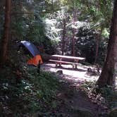 Review photo of Indigo Springs — Willamette National Forest by Carie L., September 1, 2016