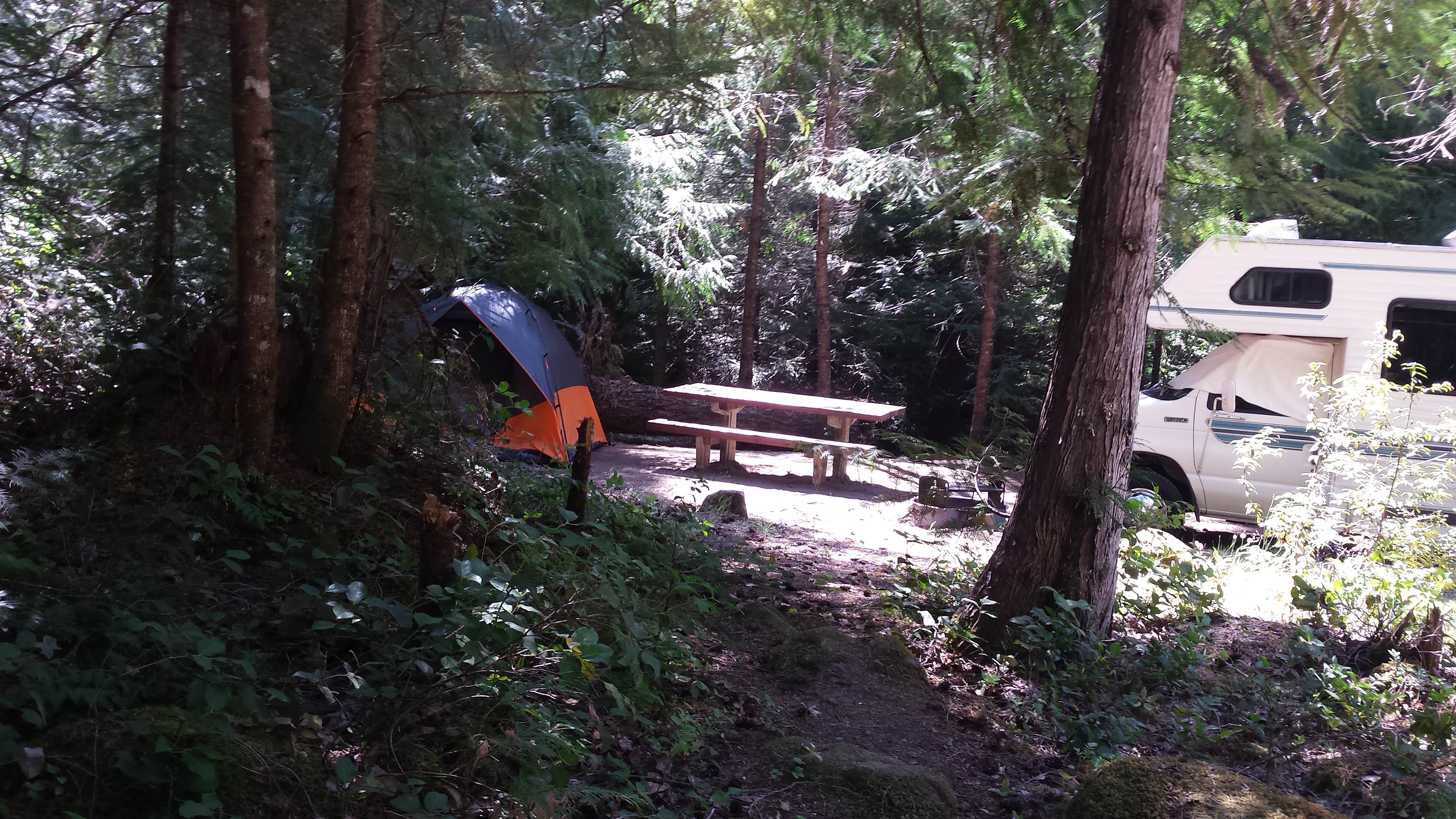 Camper submitted image from Indigo Springs — Willamette National Forest - 4
