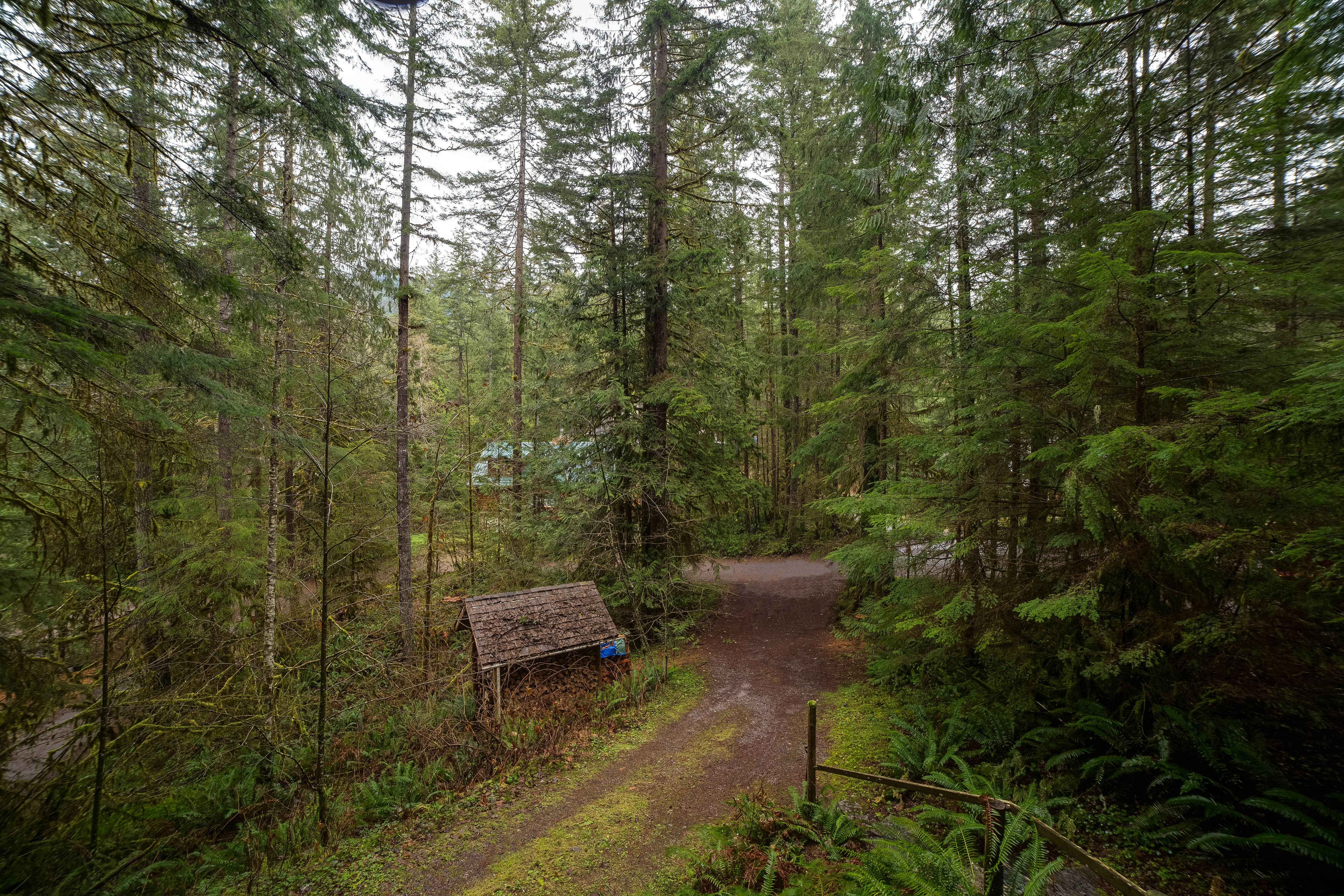 Camper submitted image from Mt. Baker Lodging - Cabin #25 - HOT TUB, FIREPLACE, W/D, D/W, BBQ, PETS OK, SLEEPS-6! - 4