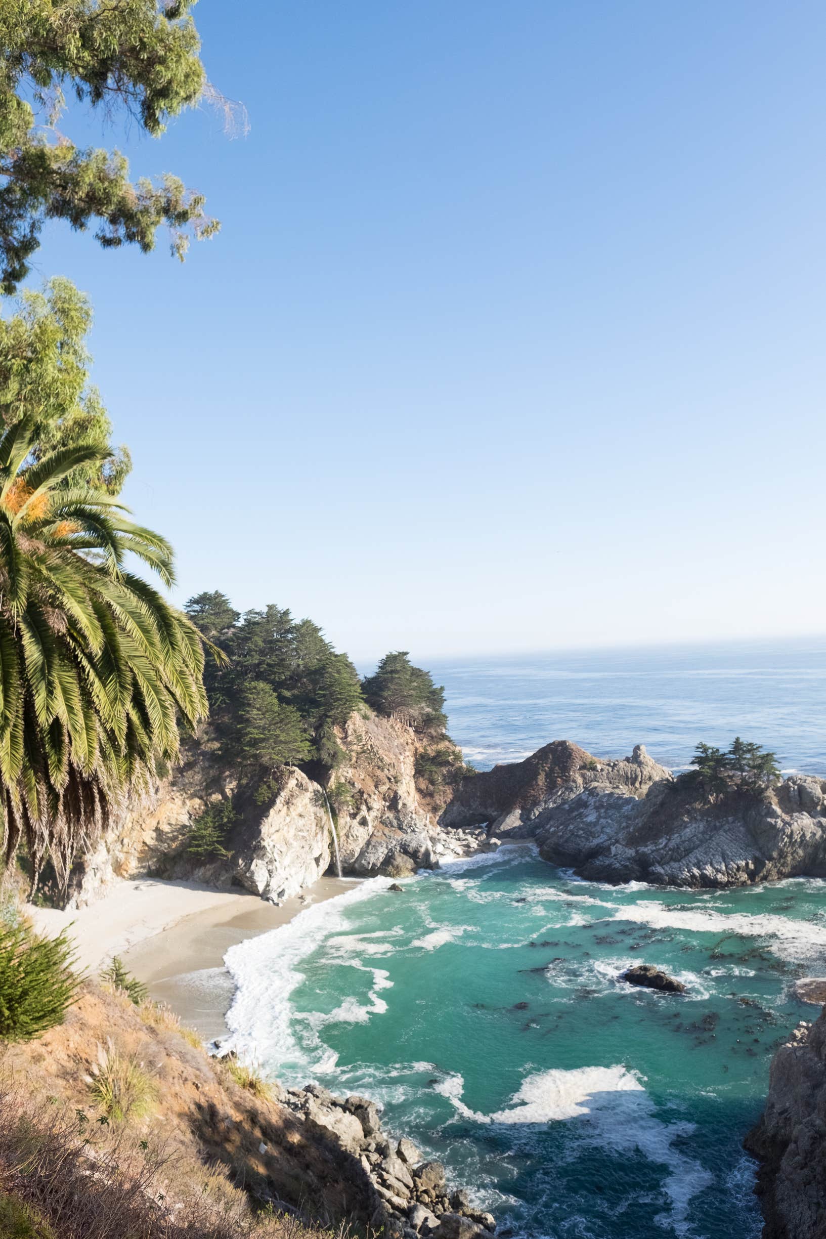 Camper submitted image from Julia Pfeiffer Burns Environmental Camping — Julia Pfeiffer Burns State Park - 2