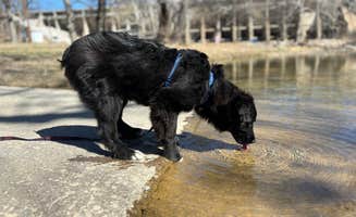 Brianna R.'s photo of camping with pets at Mountain Lake near Sulphur, OK