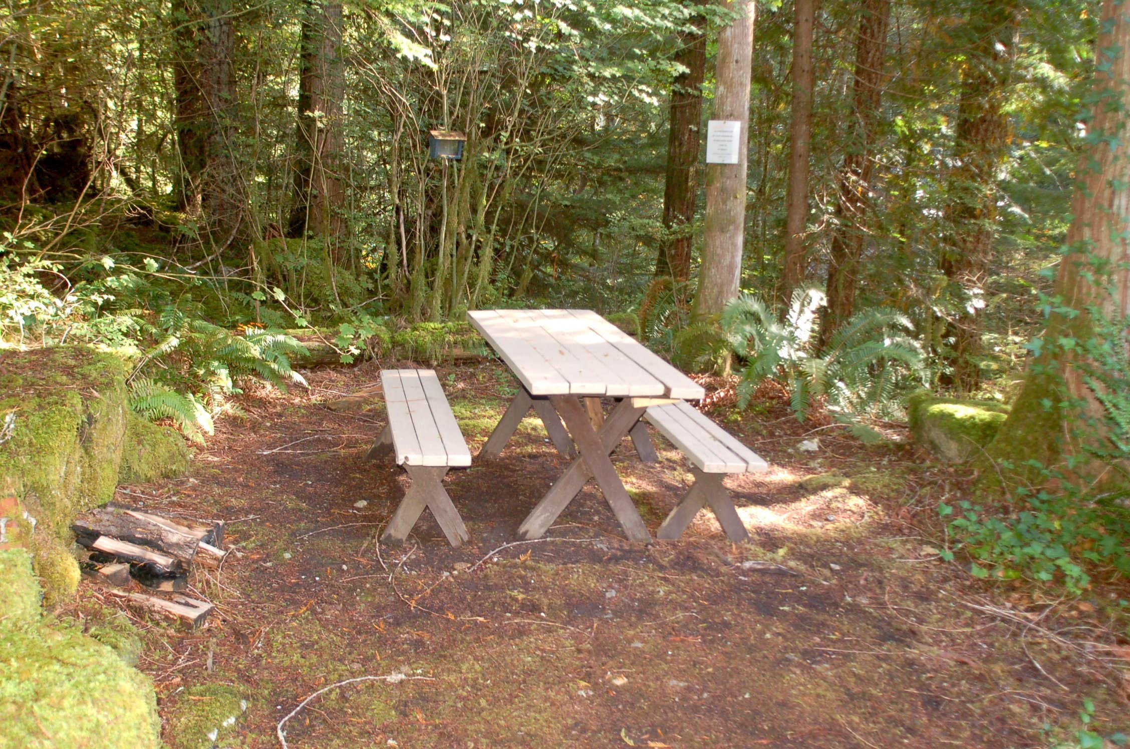 Camper submitted image from Mt. Baker Lodging - Cabin #26 - Hot Tub, Fireplace, Wifi, BBQ, Sleeps-8! - 4