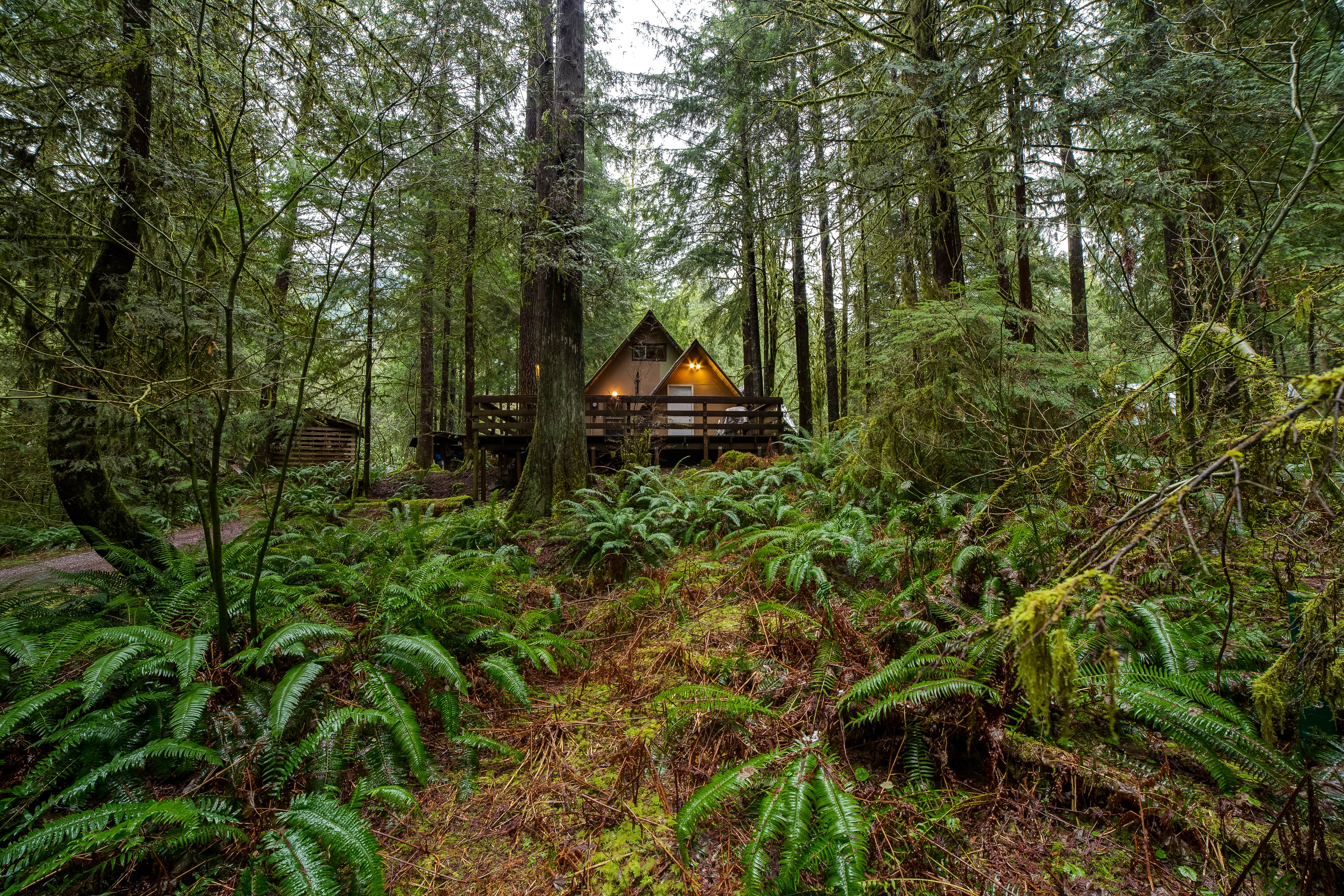 Camper submitted image from Snowline Cabin #86 - Mt. Baker Lodging - 4