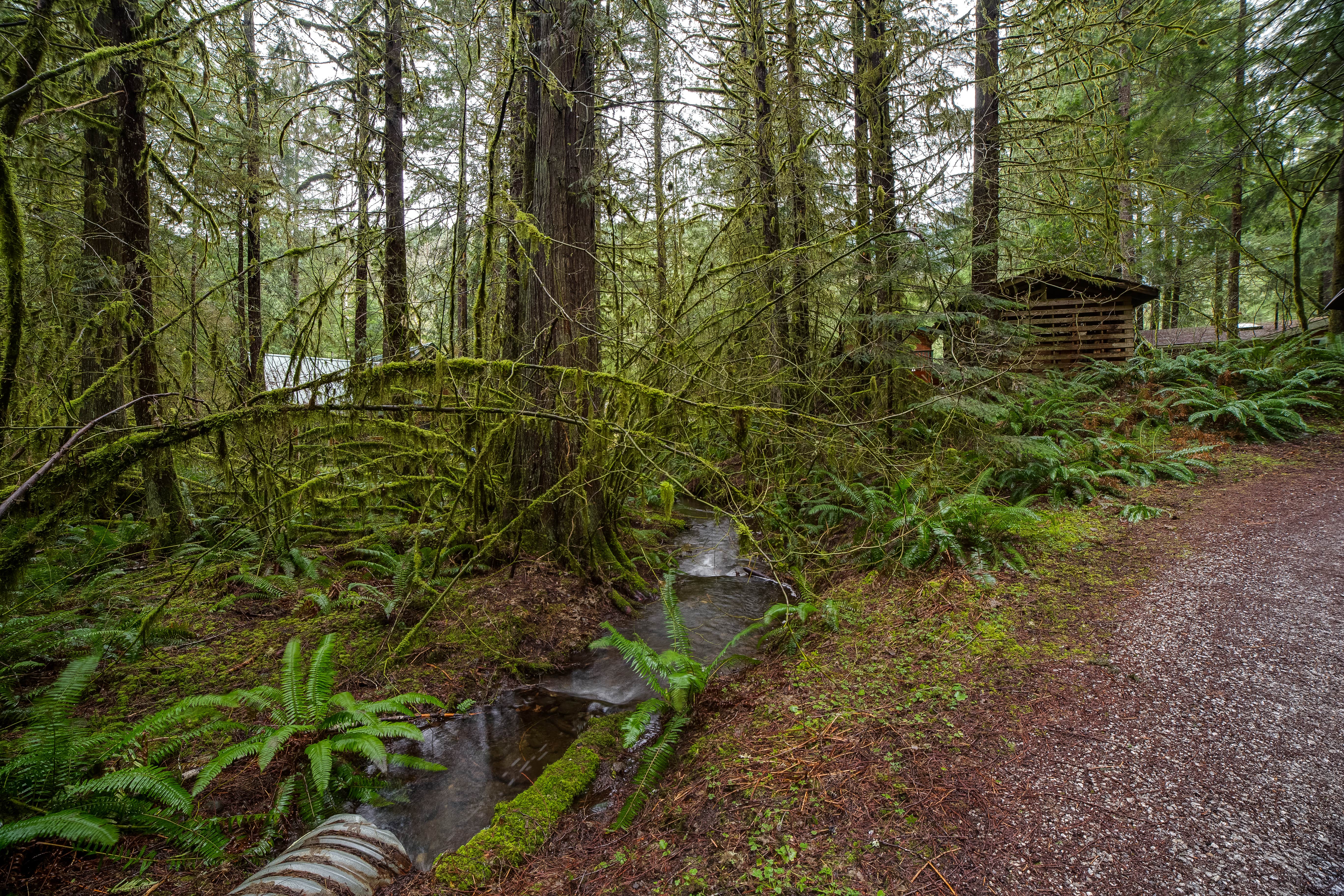 Camper submitted image from Snowline Cabin #86 - Mt. Baker Lodging - 5