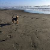 Review photo of Cape Disappointment State Park Campground by Kayko S., September 1, 2016