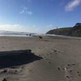 Review photo of Cape Disappointment State Park Campground by Kayko S., September 1, 2016