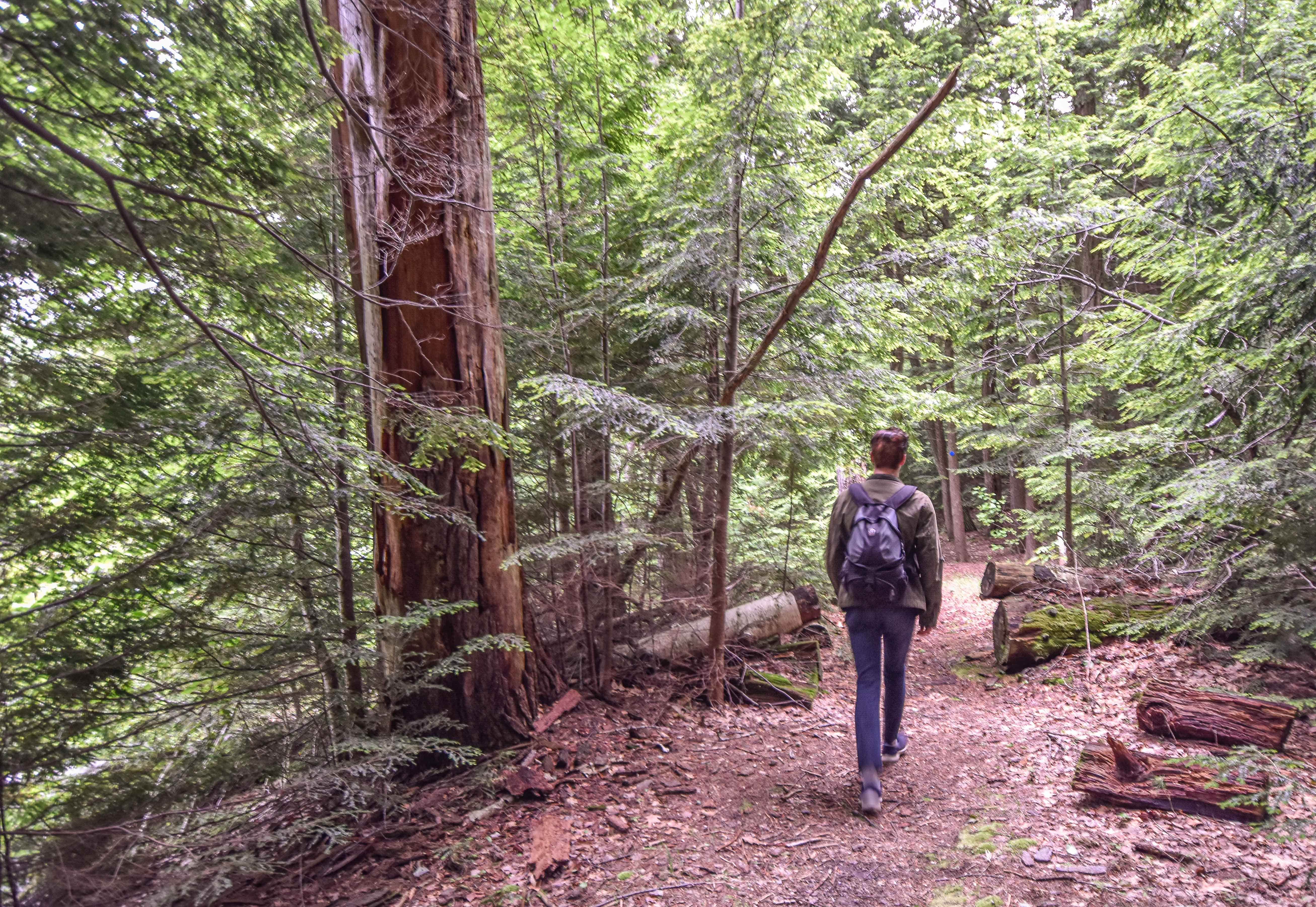 Camper-submitted photo at Gilson Pond Area Campground — Monadnock State Park near Petersham, MA
