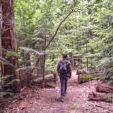 Review photo of Monadnock State Park Campground by Tara S., June 22, 2019