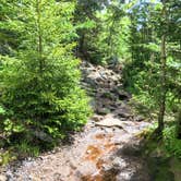 Review photo of Monadnock State Park Campground by Tara S., June 22, 2019