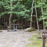 Review photo of Monadnock State Park Campground by Tara S., June 22, 2019