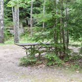 Review photo of Monadnock State Park Campground by Tara S., June 22, 2019