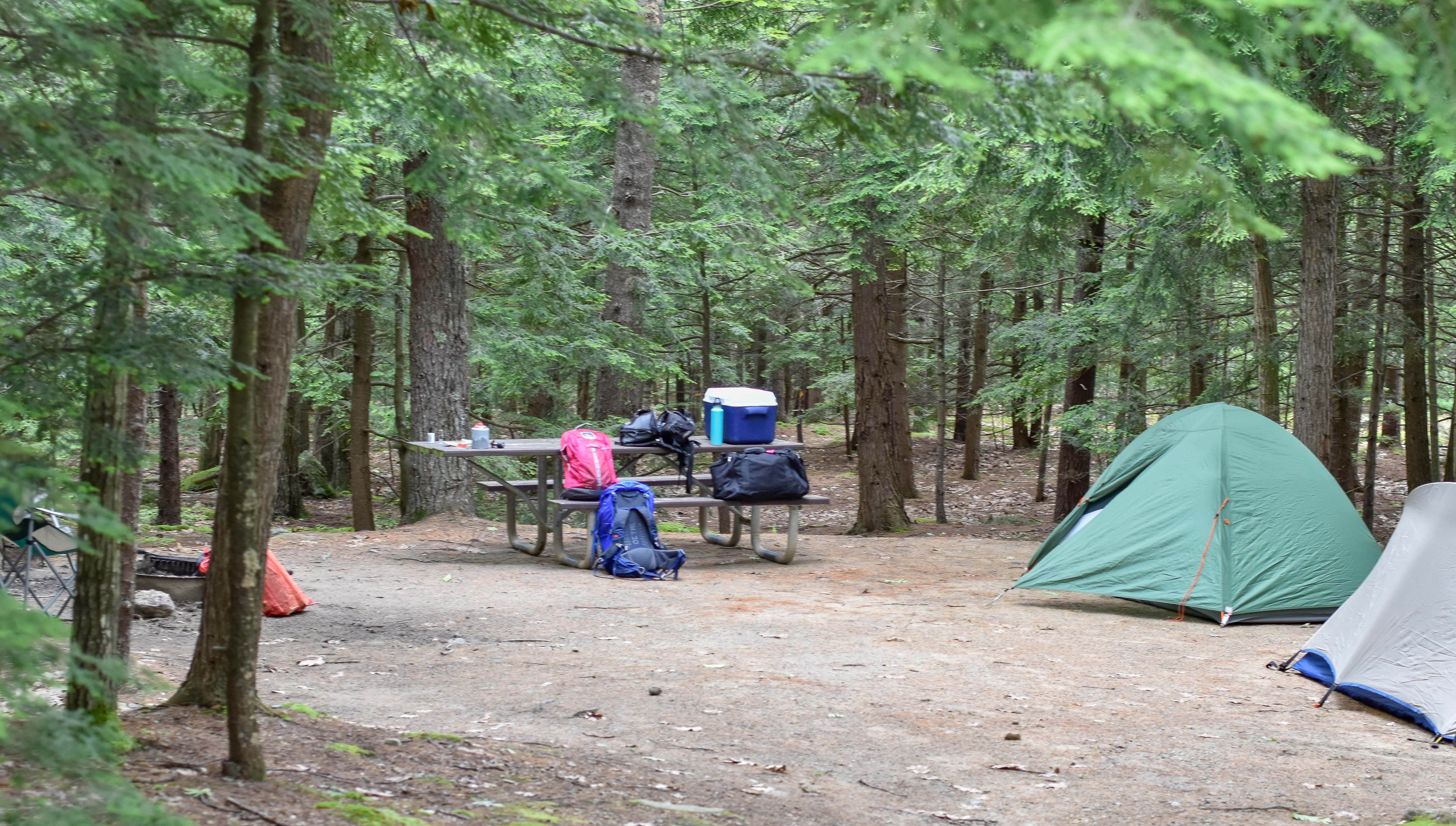 Camper-submitted photo at Gilson Pond Area Campground — Monadnock State Park near Petersham, MA