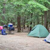 Review photo of Monadnock State Park Campground by Tara S., June 22, 2019