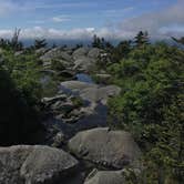 Review photo of Monadnock State Park Campground by Tara S., June 22, 2019