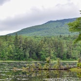 Review photo of Monadnock State Park Campground by Tara S., June 22, 2019