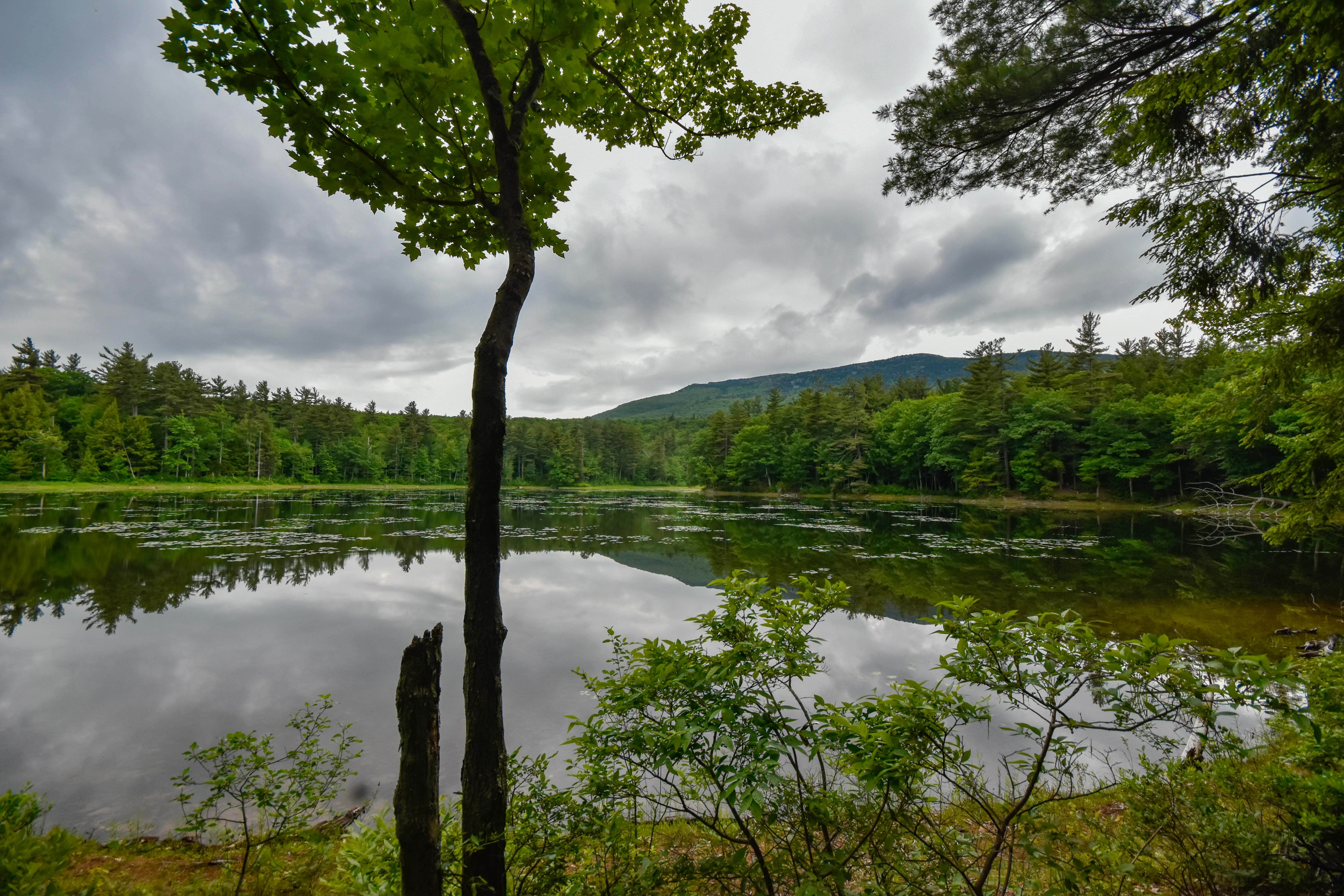 Gilson Pond Area Campground — Monadnock State Park