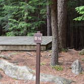 Review photo of Monadnock State Park Campground by Tara S., June 22, 2019