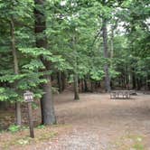 Review photo of Monadnock State Park Campground by Tara S., June 22, 2019