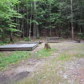 Review photo of Monadnock State Park Campground by Tara S., June 22, 2019