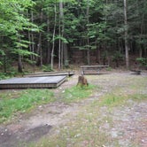 Review photo of Monadnock State Park Campground by Tara S., June 22, 2019