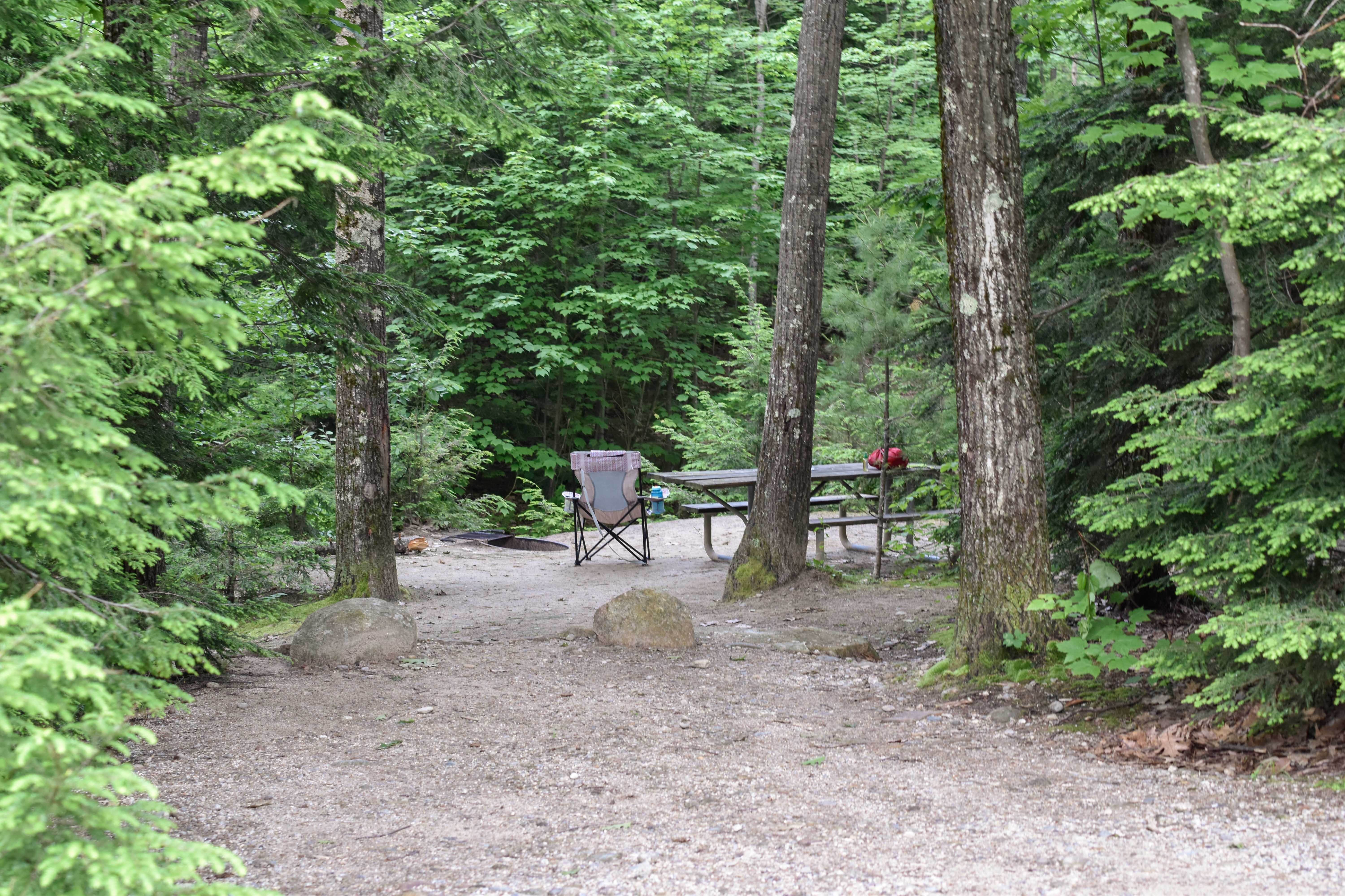 Tara S.'s photo at Gilson Pond Area Campground — Monadnock State Park near South Ashburnham, MA