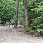 Review photo of Monadnock State Park Campground by Tara S., June 22, 2019