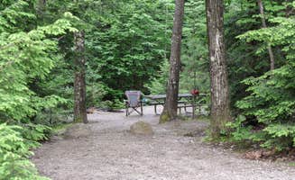 Tara S.'s photo at Gilson Pond Area Campground — Monadnock State Park near Keene, NH