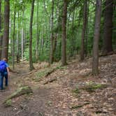 Review photo of Monadnock State Park Campground by Tara S., June 22, 2019