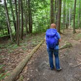 Review photo of Monadnock State Park Campground by Tara S., June 22, 2019