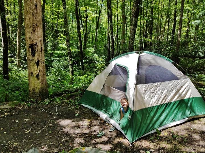 Harmon Den Area Camping | Hartford, NC