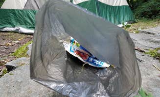 Myron C.'s photo at Harmon Den Area near Hot Springs, NC