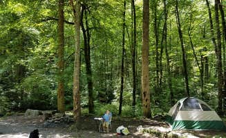 Myron C.'s photo at Harmon Den Area near Hot Springs, NC