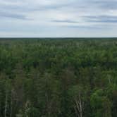 Review photo of Big Bog State Recreation Area by Matt T., June 22, 2019