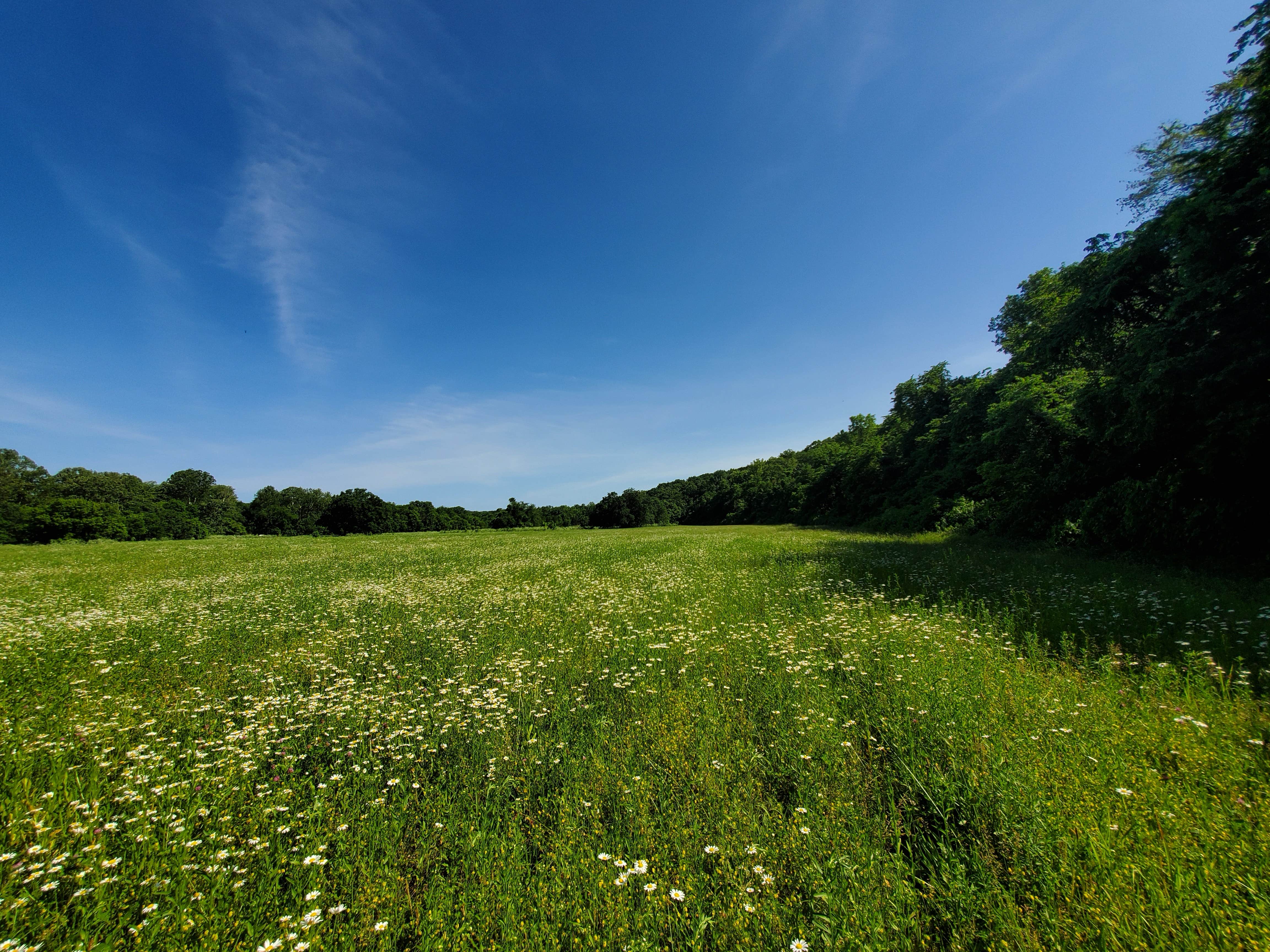 Camper-submitted photo at Swan Creek near Rockaway Beach, MO